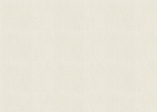 Rasch Golden Hour 941708